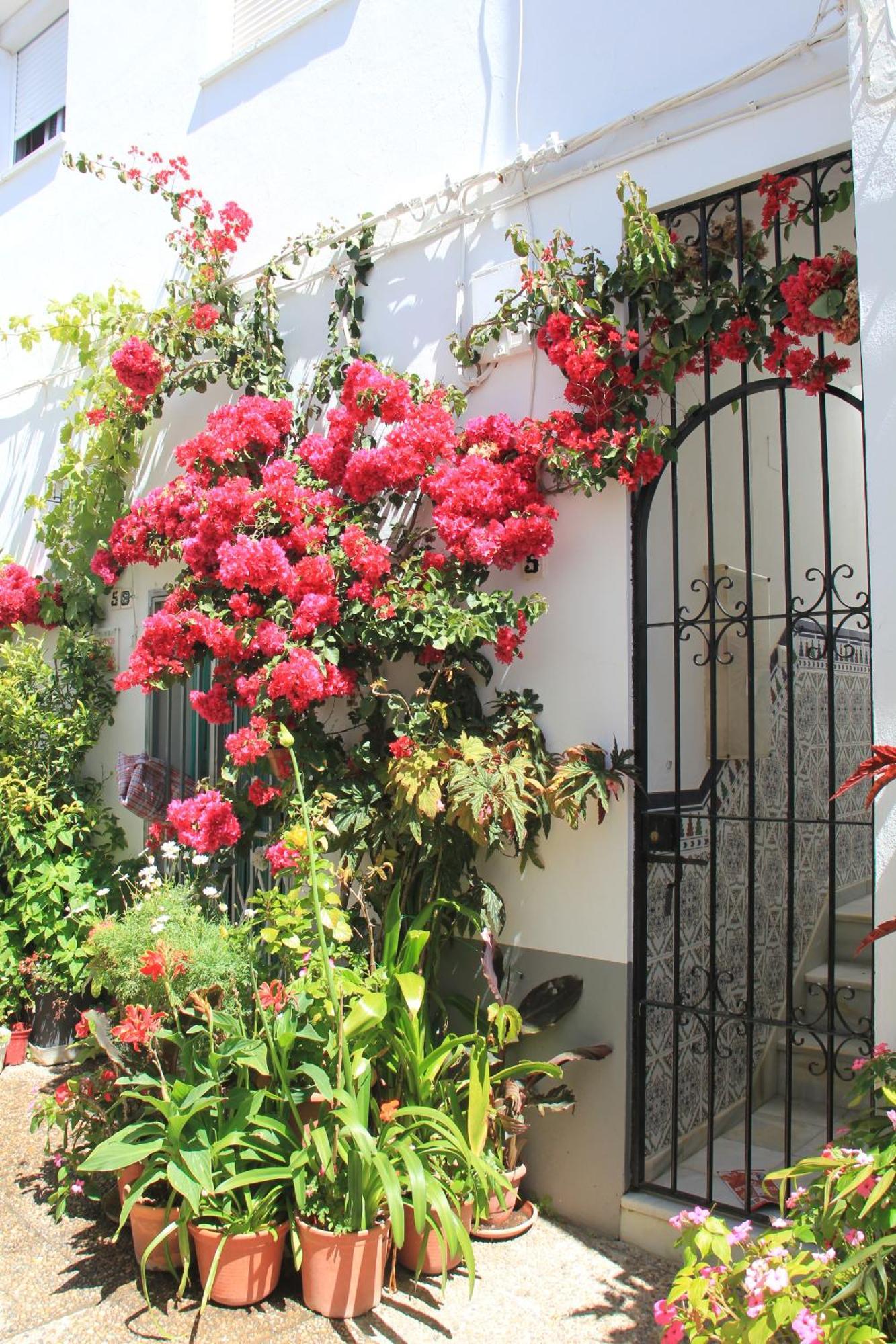 Vila Casa Magallanes Conil Conil De La Frontera Exteriér fotografie